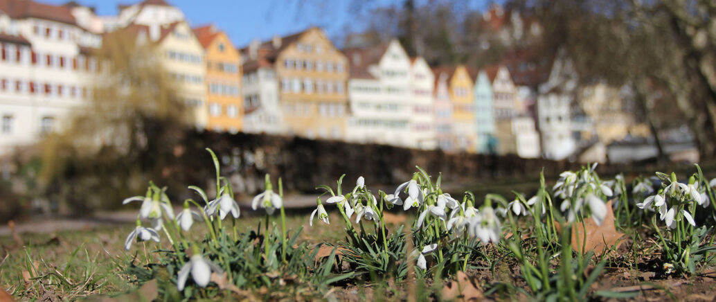 frühling