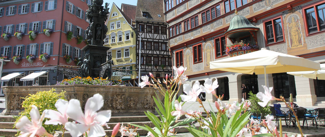 Blick auf das Rathaus und den Marktplatz im Sommer