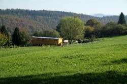 Naturkindergarten Waldschafe e.V.